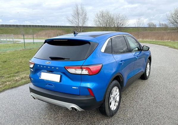 Ford Kuga cena 76999 przebieg: 8000, rok produkcji 2019 z Skórcz małe 67